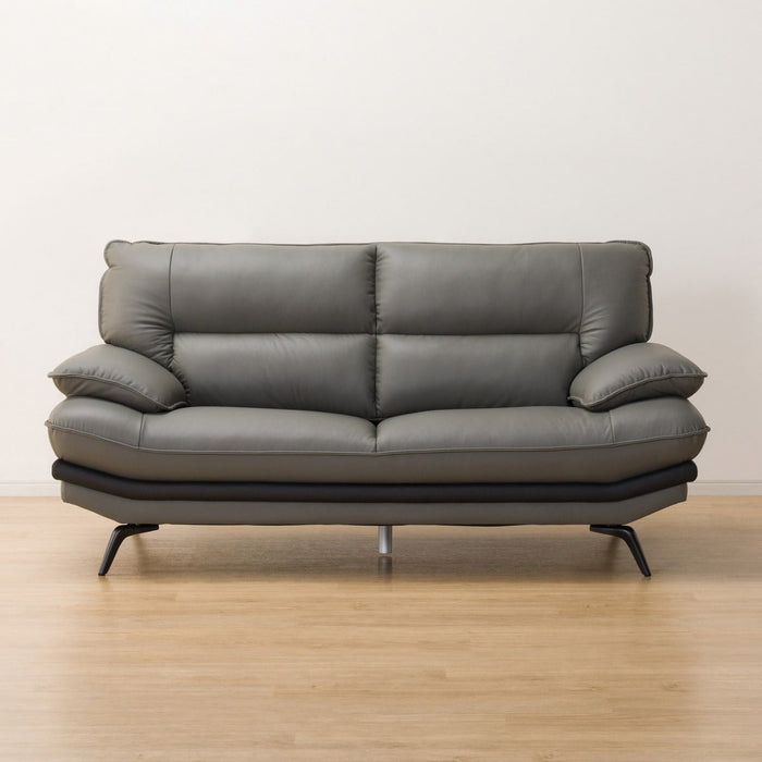2.5P SOFA LOZO KD GY LEATHER