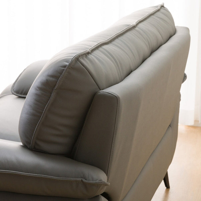 2.5P SOFA LOZO KD GY LEATHER