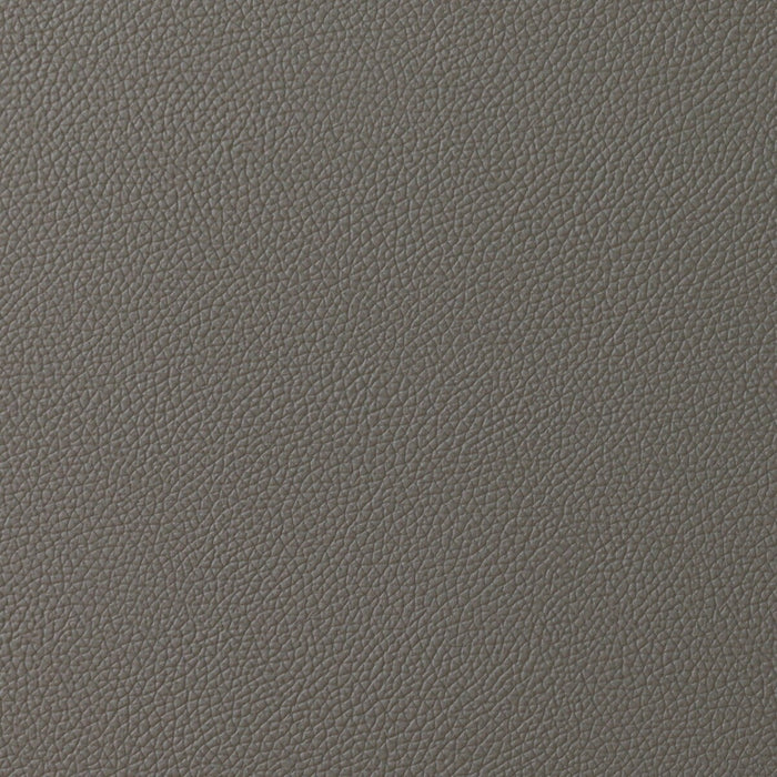 2.5P SOFA LOZO KD GY LEATHER