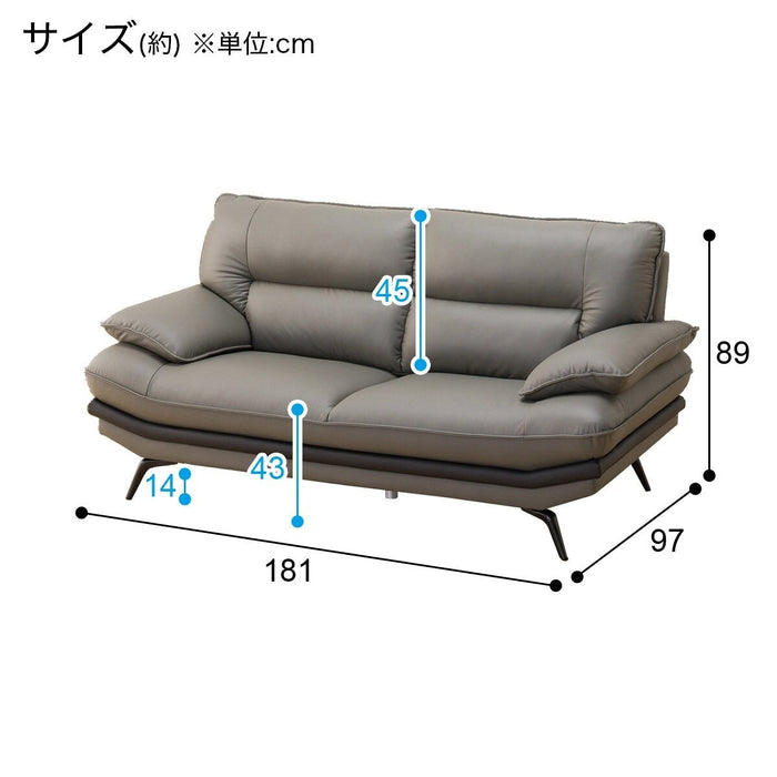 2.5P SOFA LOZO KD GY LEATHER