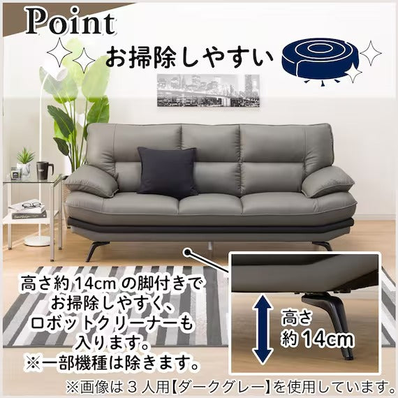 2.5P SOFA LOZO KD DBR LEATHER